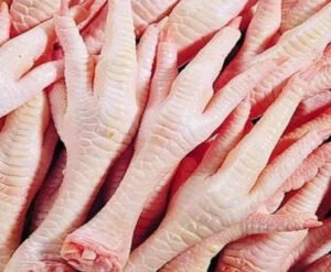 Export Frozen Chicken Feet